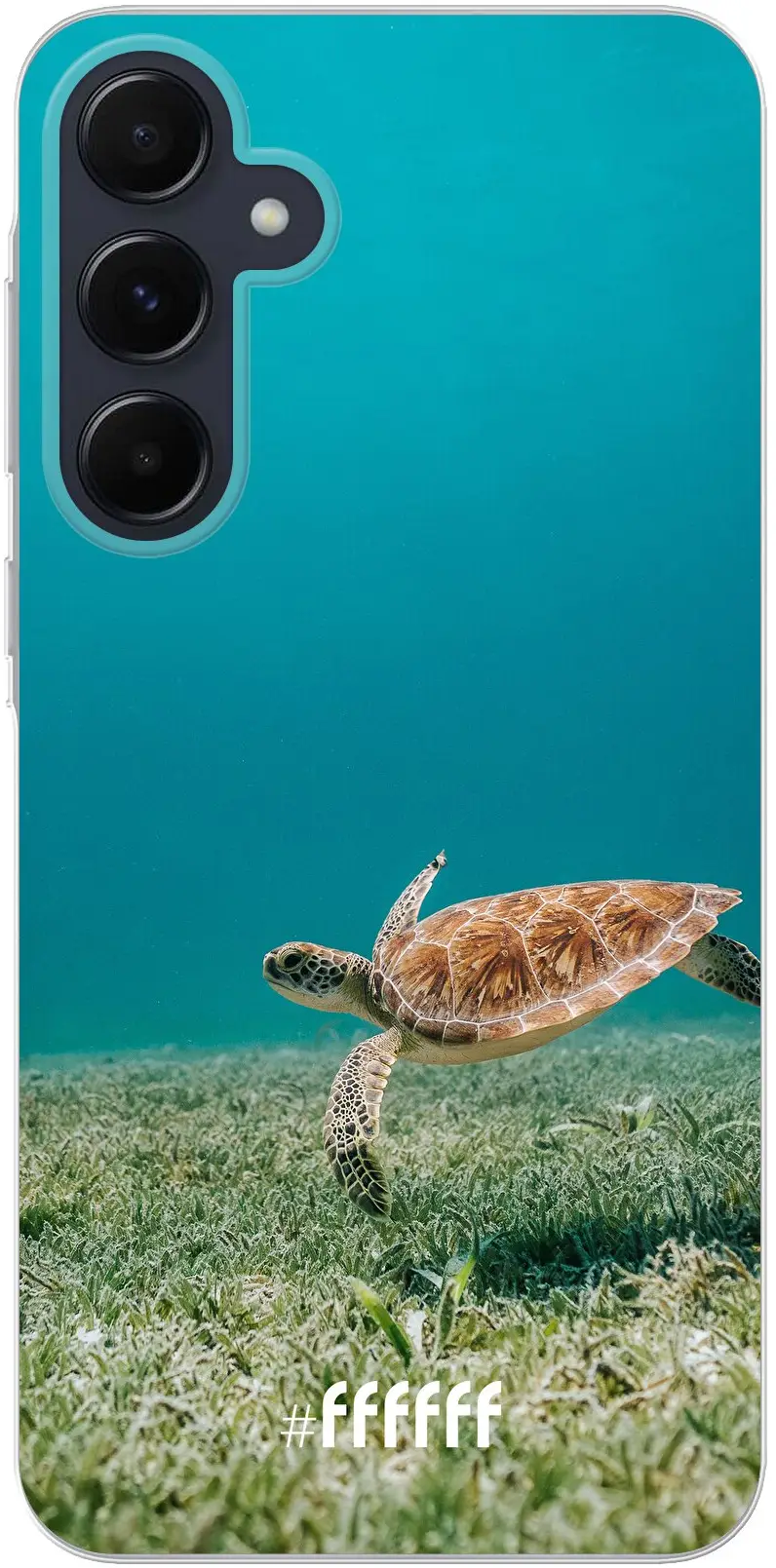 Turtle Galaxy A55