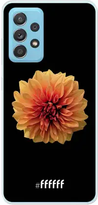 Butterscotch Blossom Galaxy A73 5G