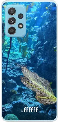 Coral Reef Galaxy A73 5G