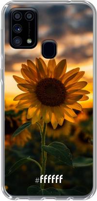 Sunset Sunflower Galaxy M31