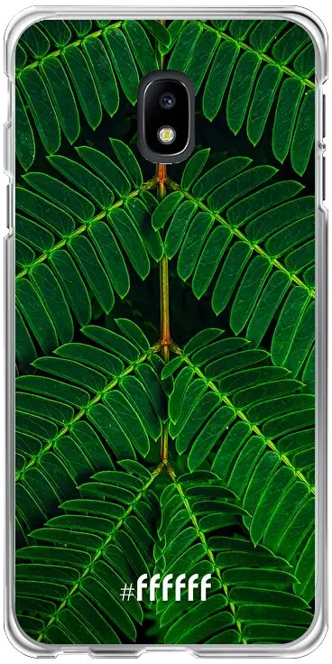 Symmetric Plants Galaxy J3 (2017)