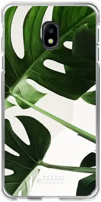 Tropical Plants Galaxy J3 (2017)