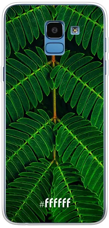 Symmetric Plants Galaxy J6 (2018)