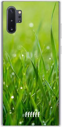Morning Dew Galaxy Note 10 Plus