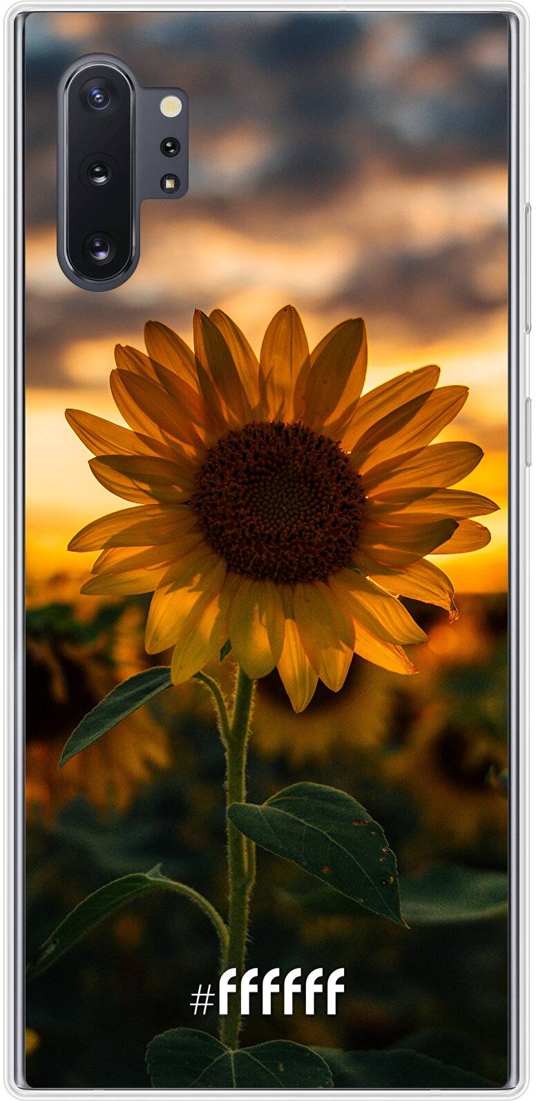 Sunset Sunflower Galaxy Note 10 Plus