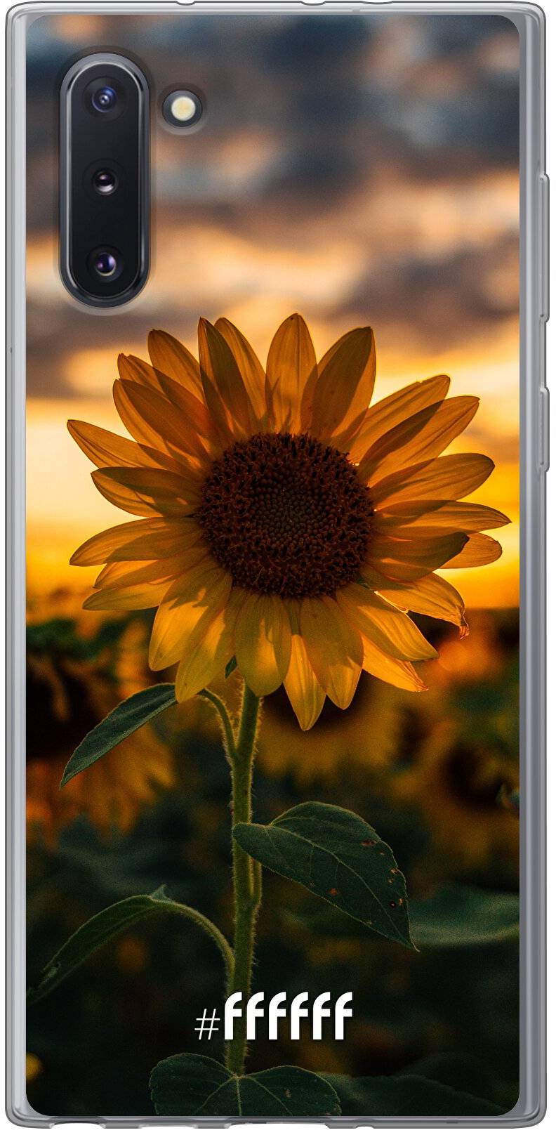 Sunset Sunflower Galaxy Note 10
