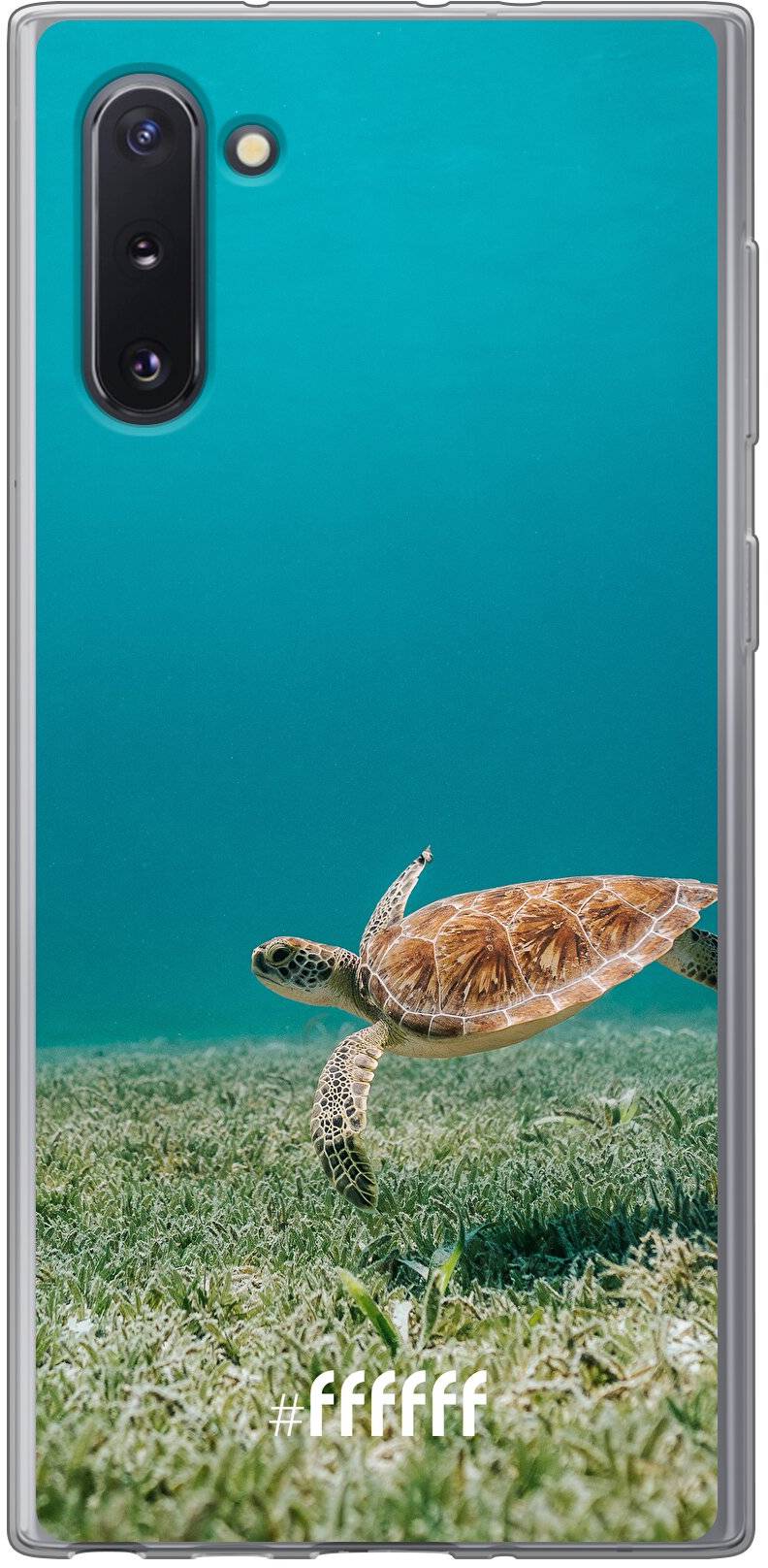 Turtle Galaxy Note 10