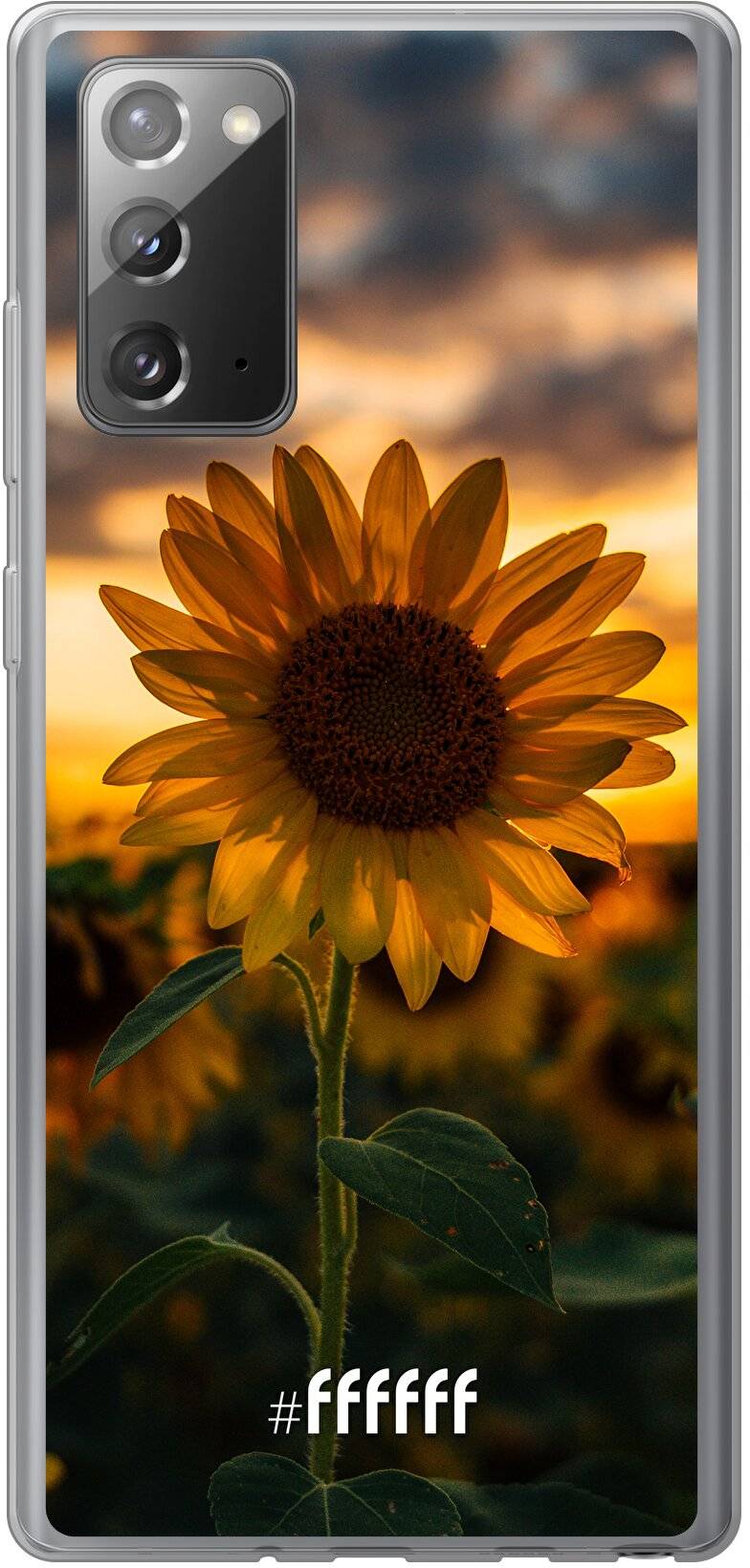 Sunset Sunflower Galaxy Note 20