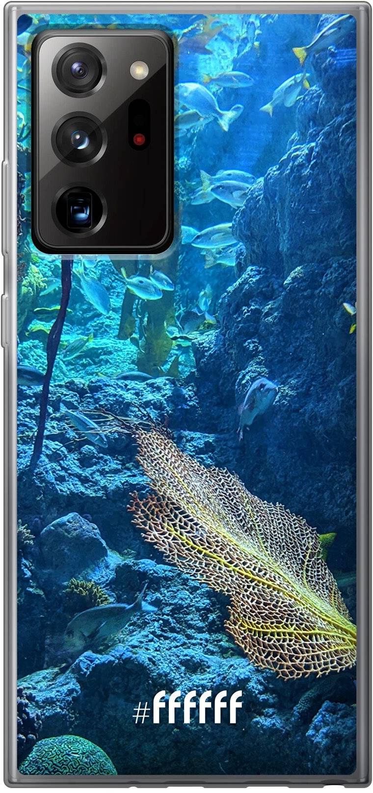 Coral Reef Galaxy Note 20 Ultra