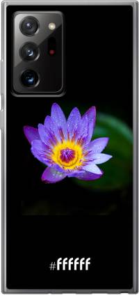 Purple Flower in the Dark Galaxy Note 20 Ultra
