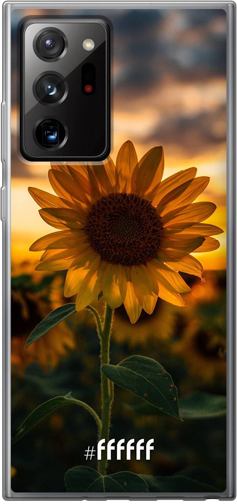 Sunset Sunflower Galaxy Note 20 Ultra