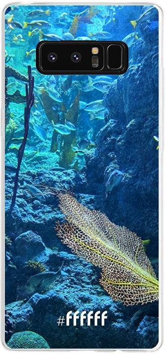 Coral Reef Galaxy Note 8
