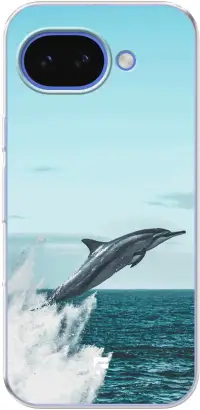 Dolphin Pixel 10A