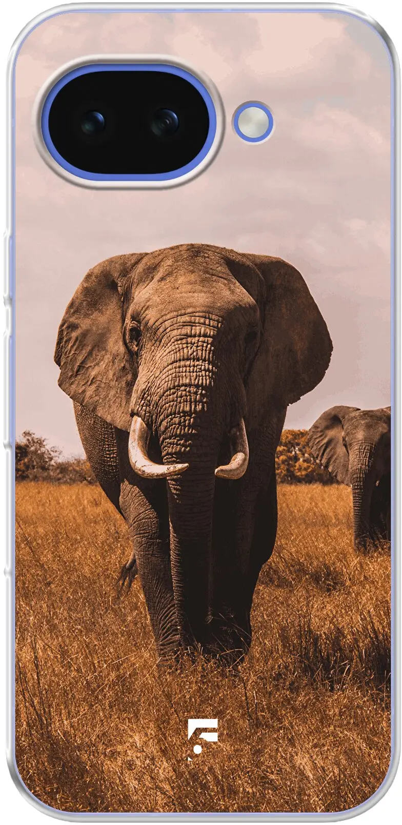 Elephants Pixel 10A
