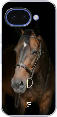 Horse Pixel 10A