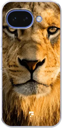 Leo Pixel 10A