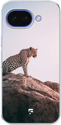 Leopard Pixel 10A