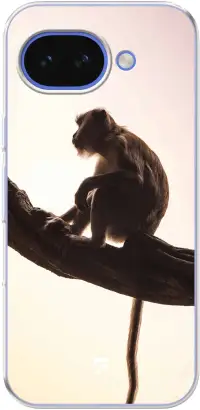 Macaque Pixel 10A