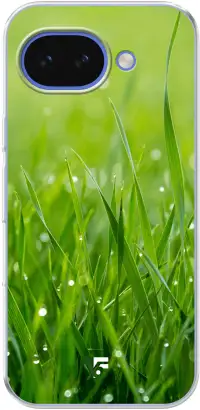 Morning Dew Pixel 10A