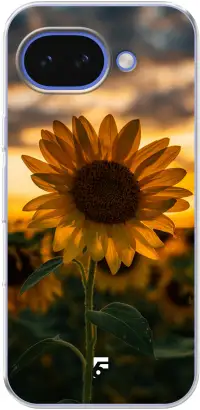 Sunset Sunflower Pixel 10A