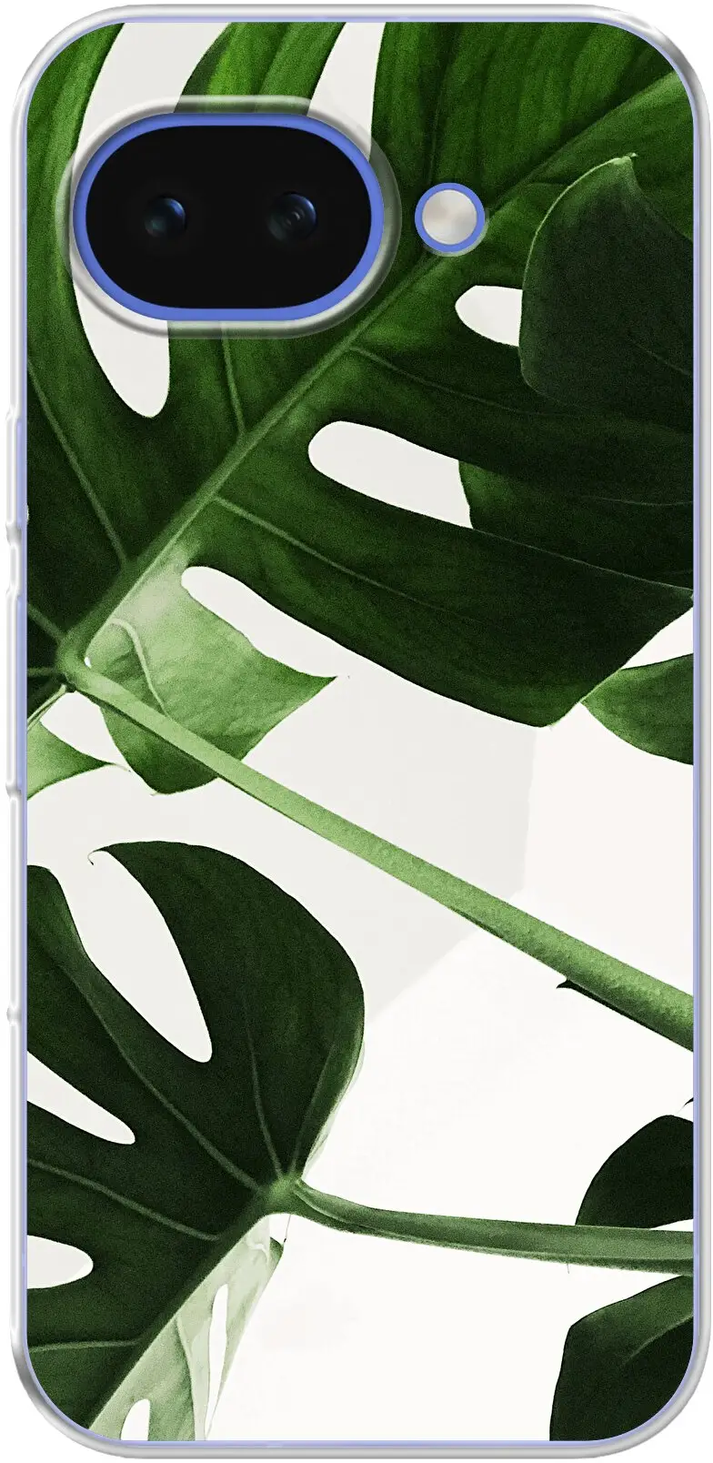 Tropical Plants Pixel 10A
