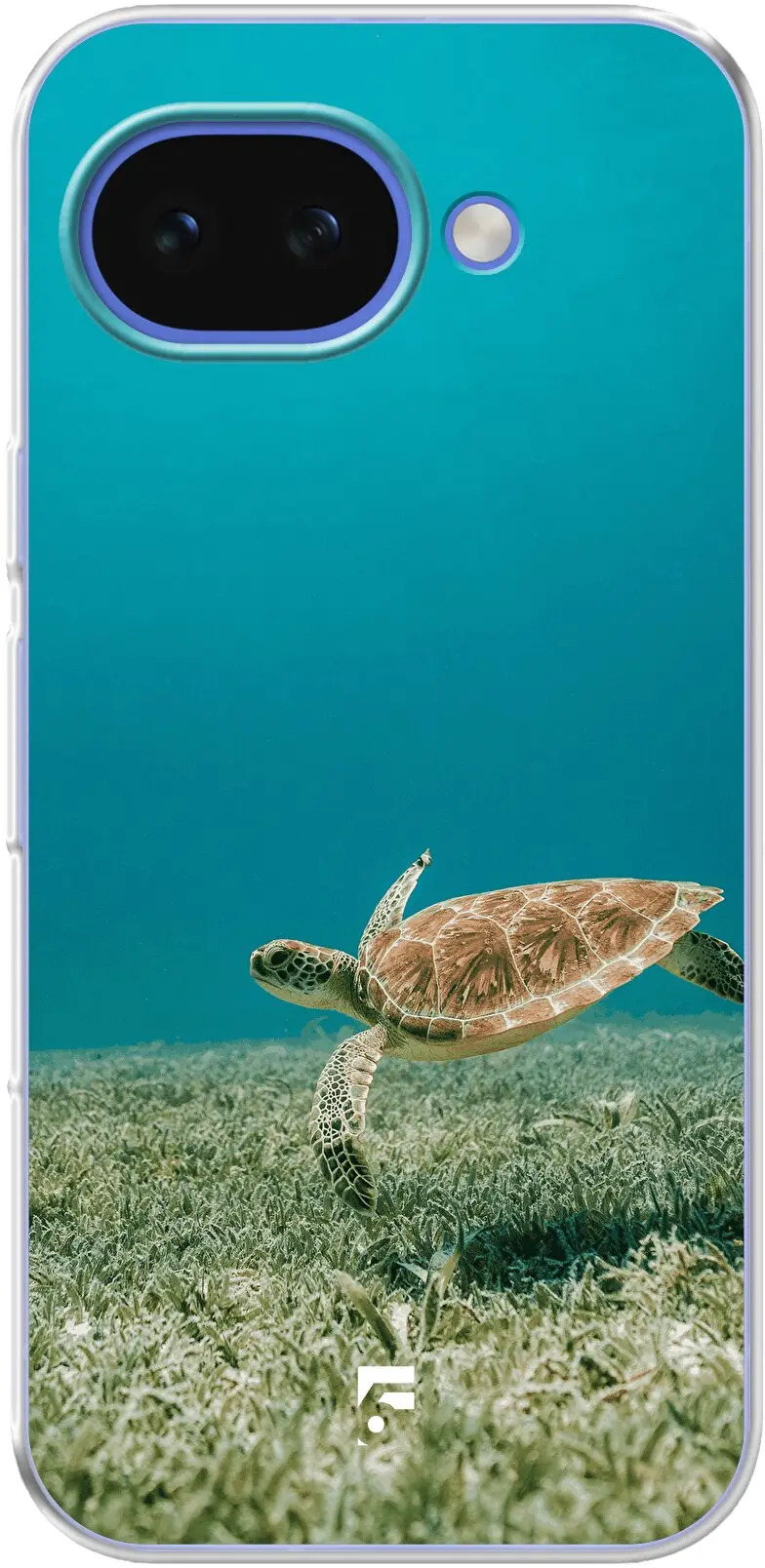 Turtle Pixel 10A