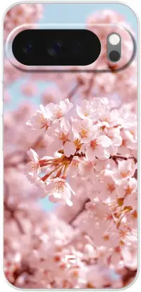 Cherry Blossom Pixel 10 Pro