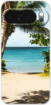 Coconut View Pixel 10 Pro