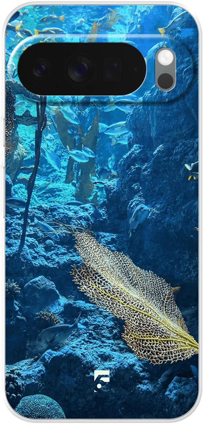 Coral Reef Pixel 10 Pro