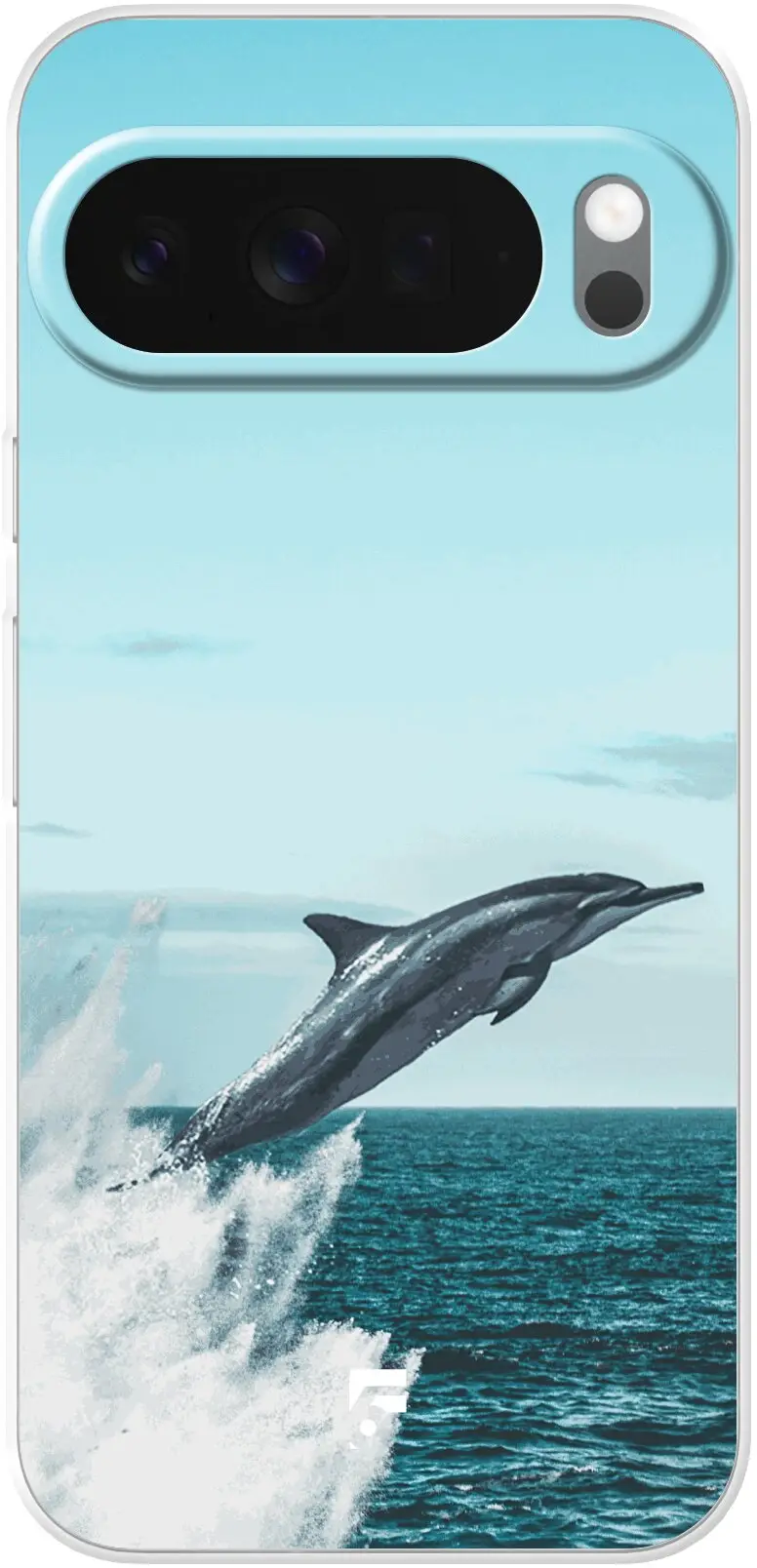 Dolphin Pixel 10 Pro
