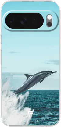 Dolphin Pixel 10 Pro
