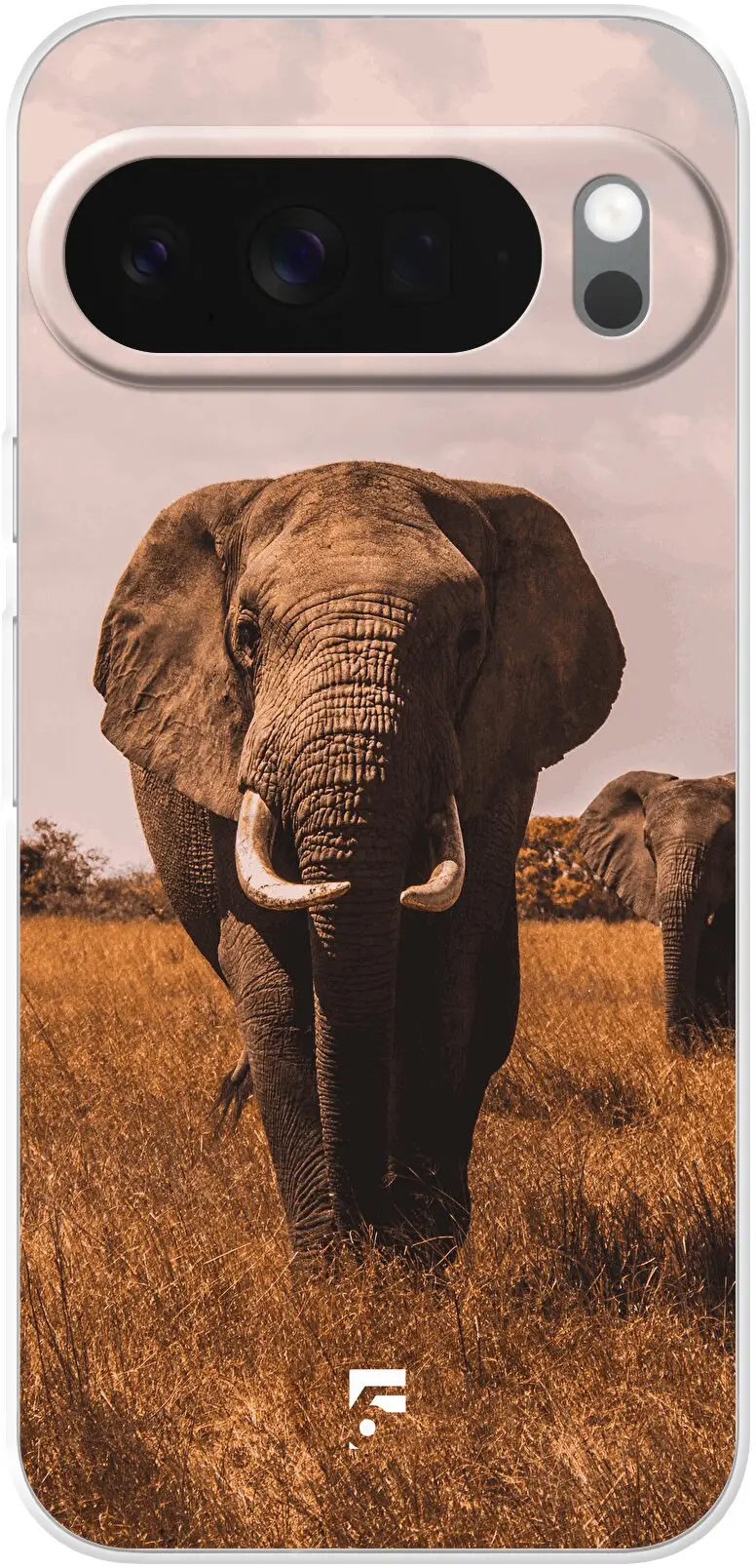 Elephants Pixel 10 Pro