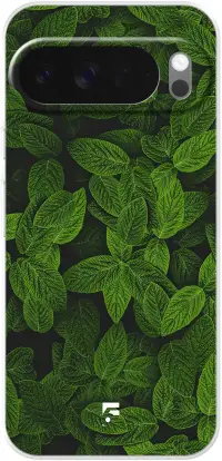 Jungle Greens Pixel 10 Pro