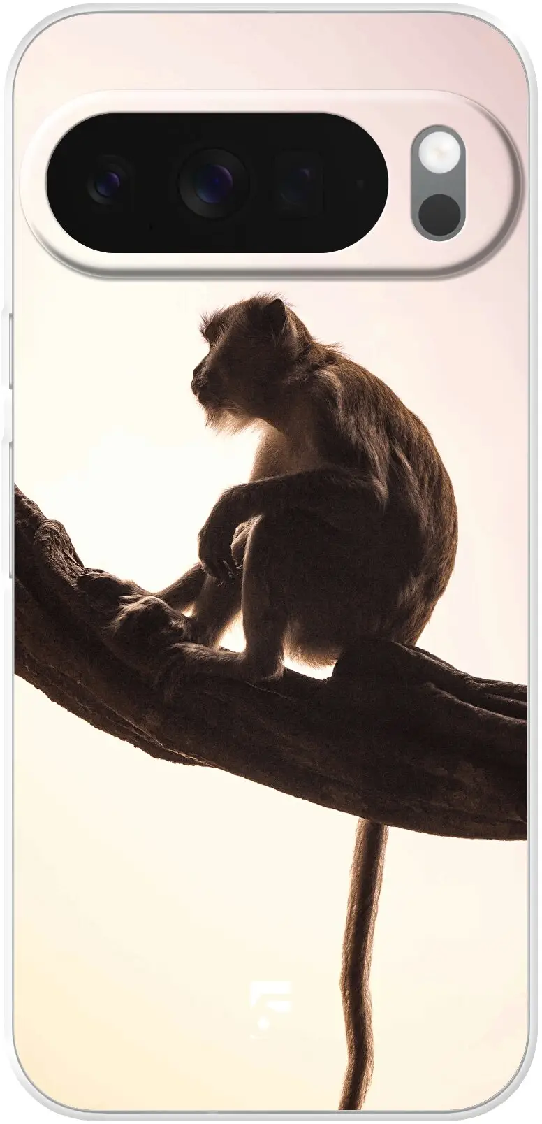 Macaque Pixel 10 Pro