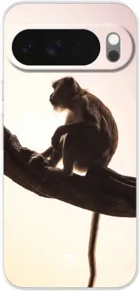 Macaque Pixel 10 Pro