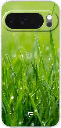 Morning Dew Pixel 10 Pro