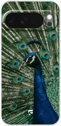 Peacock Pixel 10 Pro