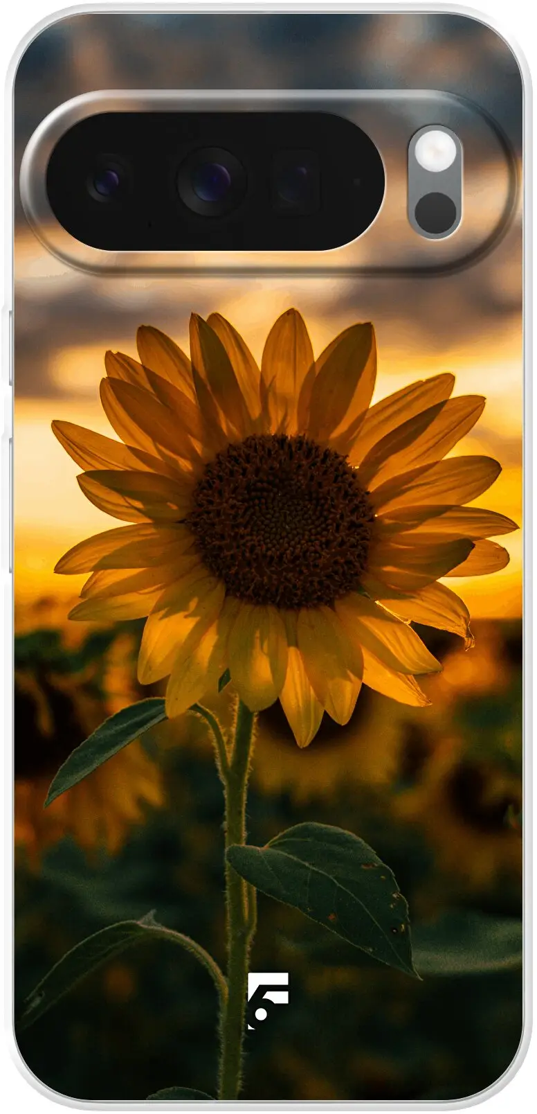 Sunset Sunflower Pixel 10 Pro