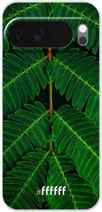 Symmetric Plants Pixel 10 Pro