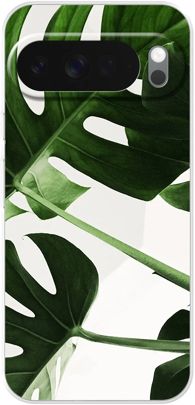 Tropical Plants Pixel 10 Pro