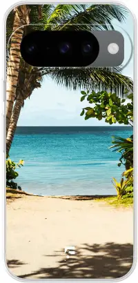 Coconut View Pixel 10