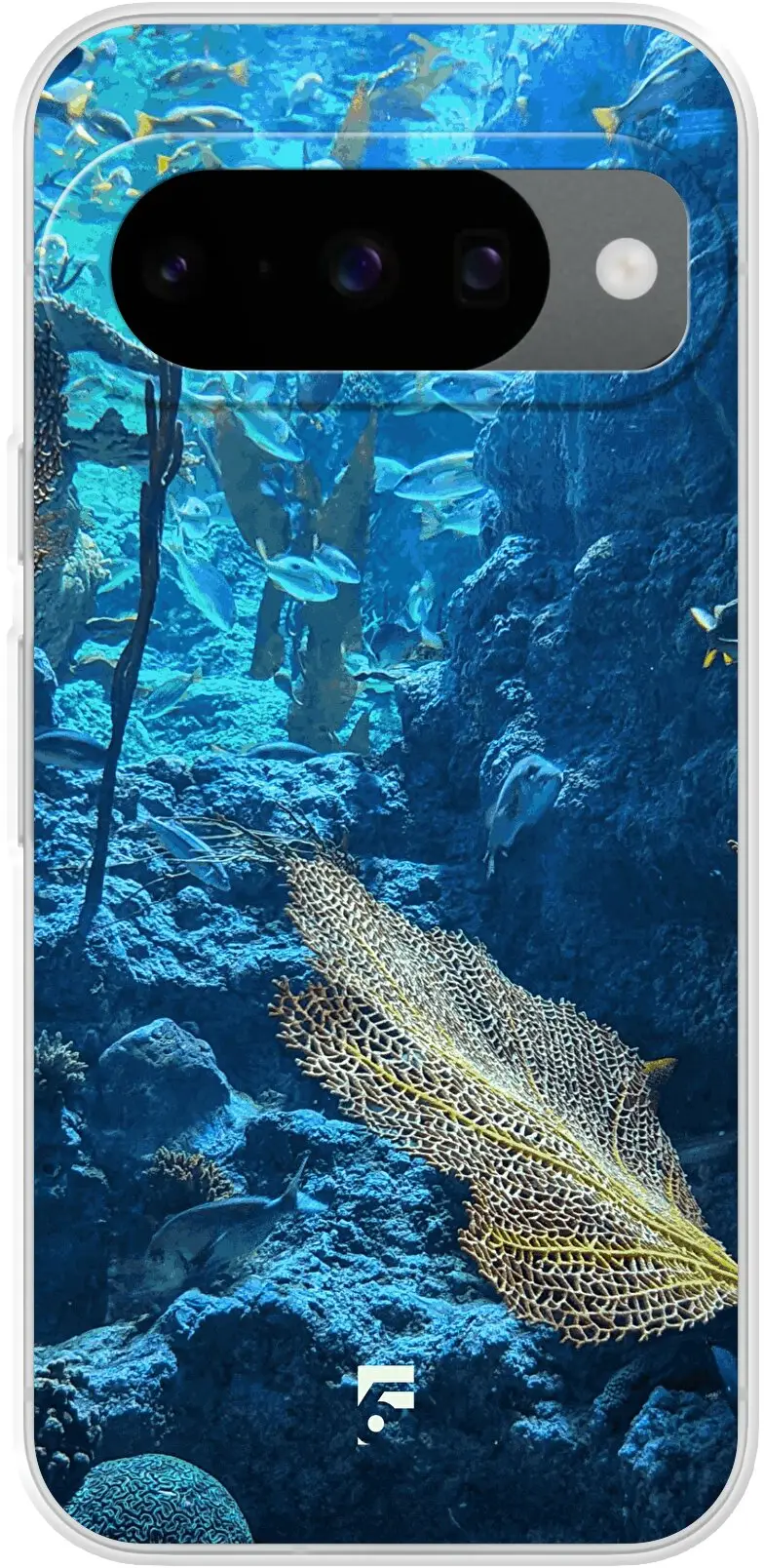 Coral Reef Pixel 10