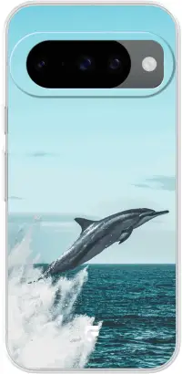 Dolphin Pixel 10