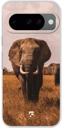 Elephants Pixel 10