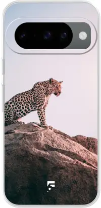 Leopard Pixel 10
