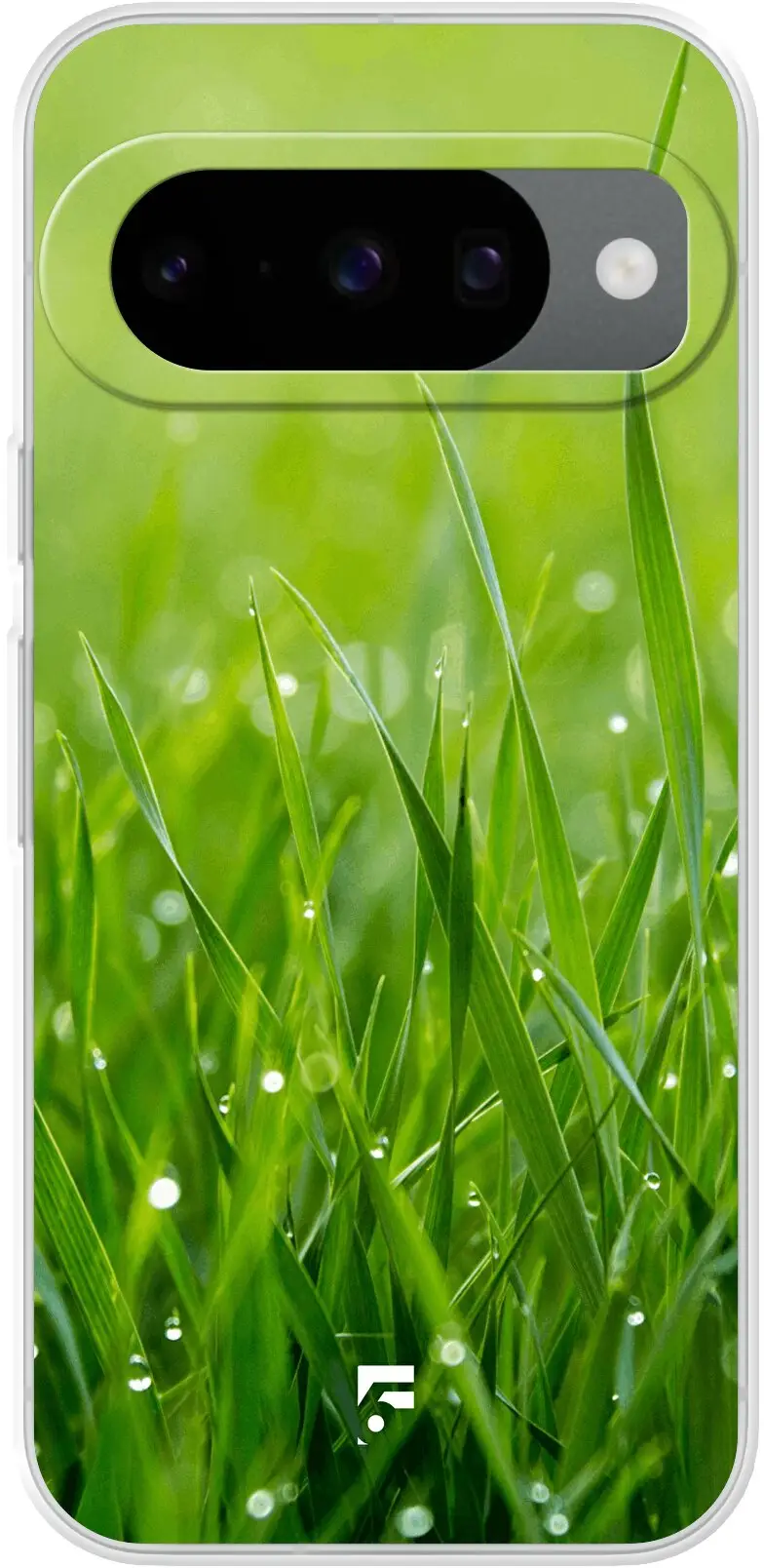 Morning Dew Pixel 10