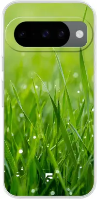 Morning Dew Pixel 10