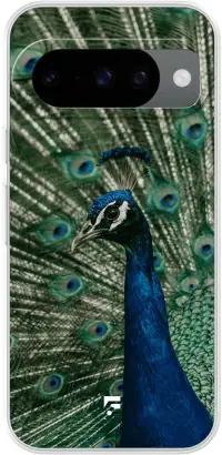 Peacock Pixel 10