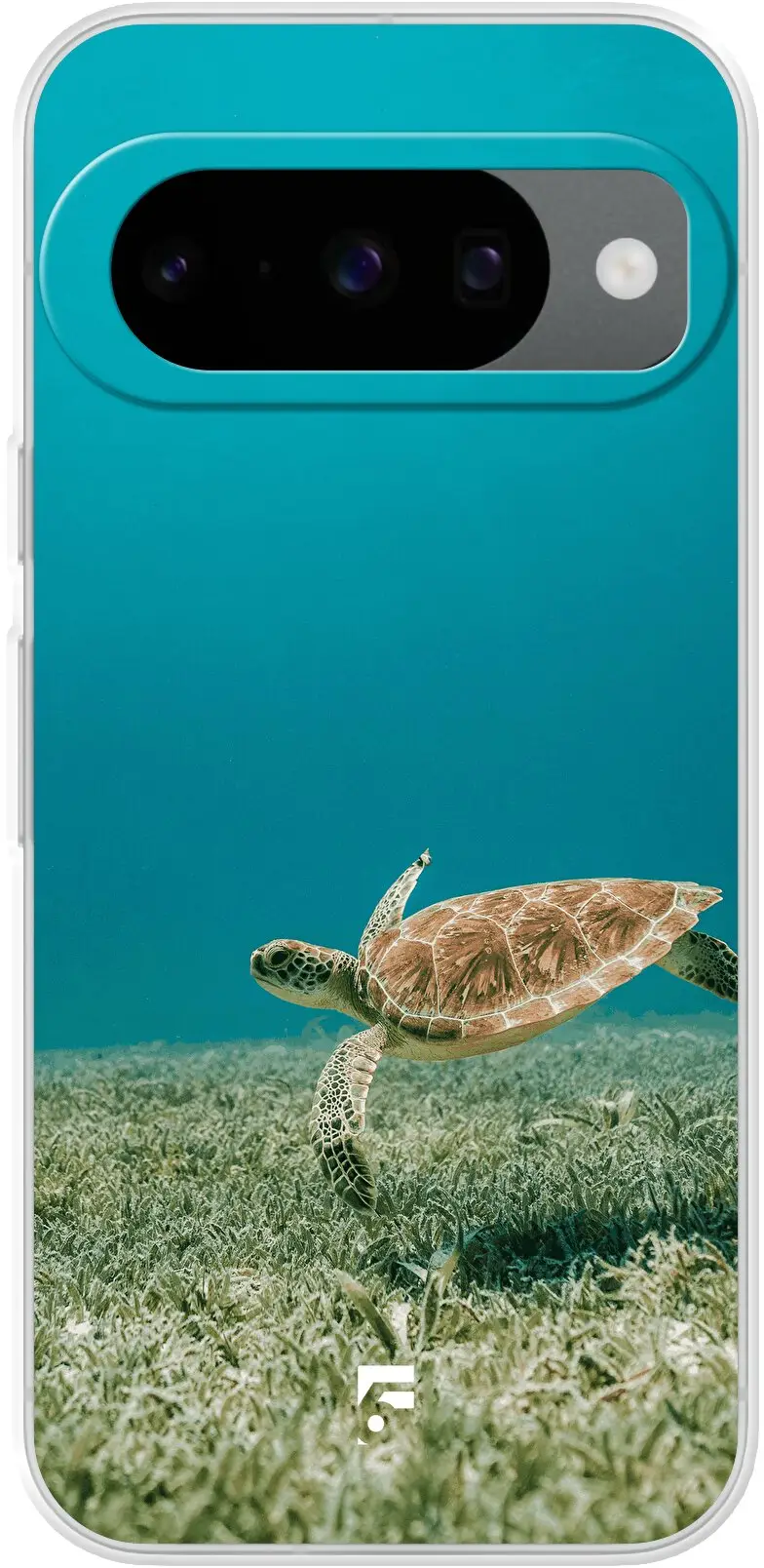 Turtle Pixel 10