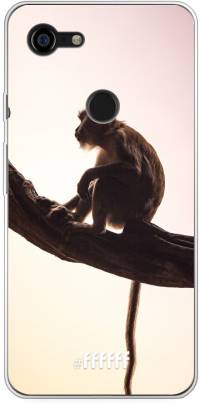Macaque Pixel 3 XL